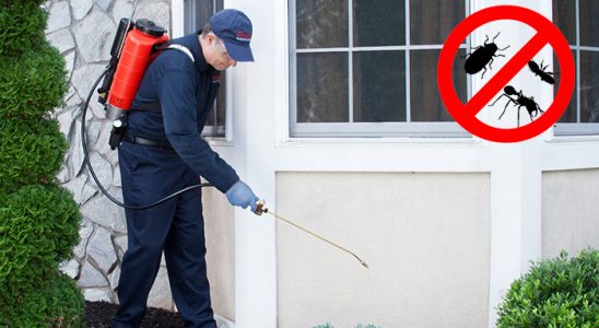 Karlıova Hamam Böceği İlaçlama böcek ilaçlama ve haşere kontrolü — ilaclama-tr.com